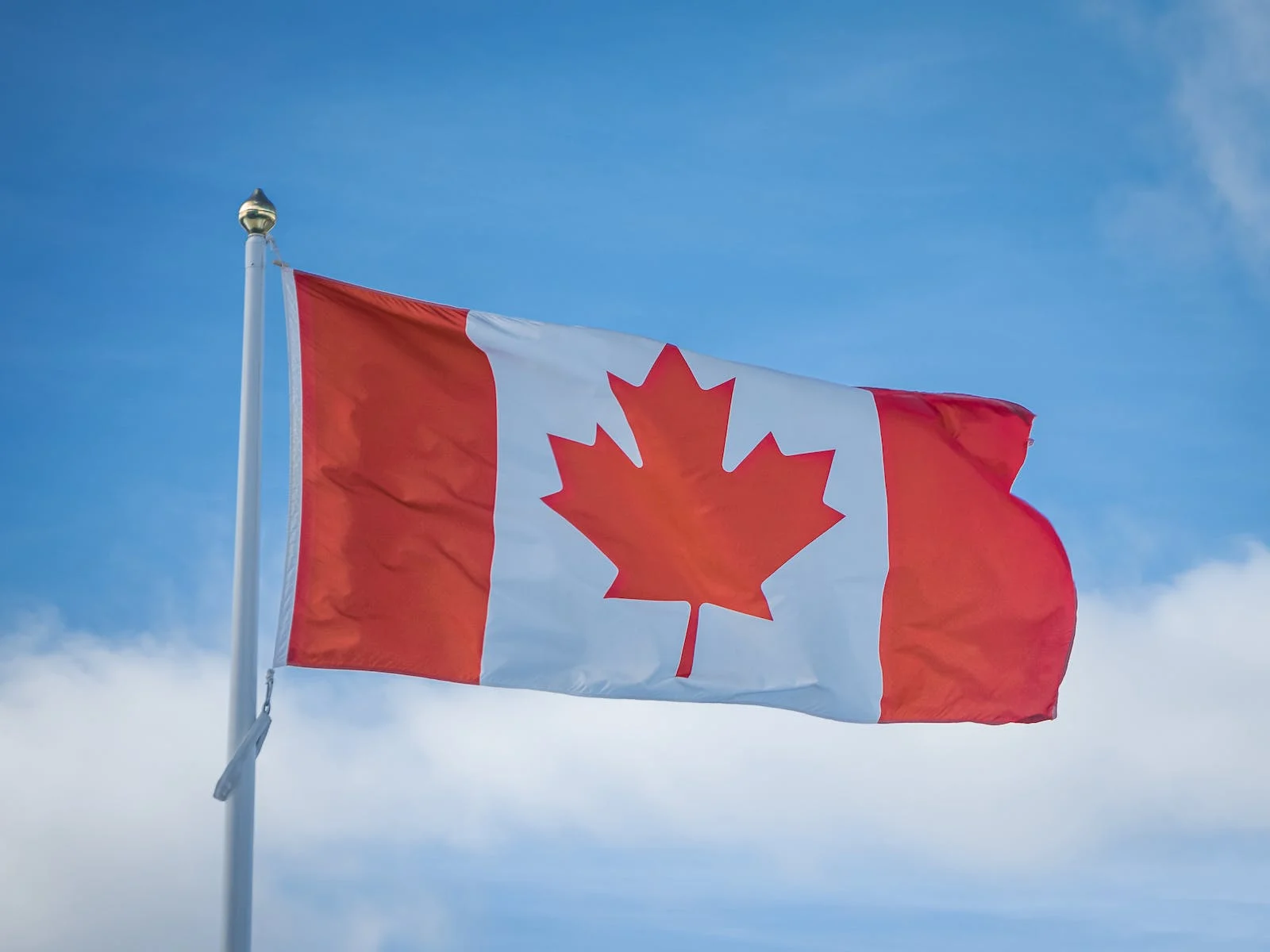 Apply for Canada PR, Study or Work Visa: Explore Your Options